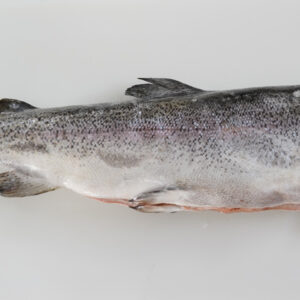 Salmon Trout HG, Frozen1