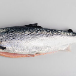 Salmon Trout HON, Fresh