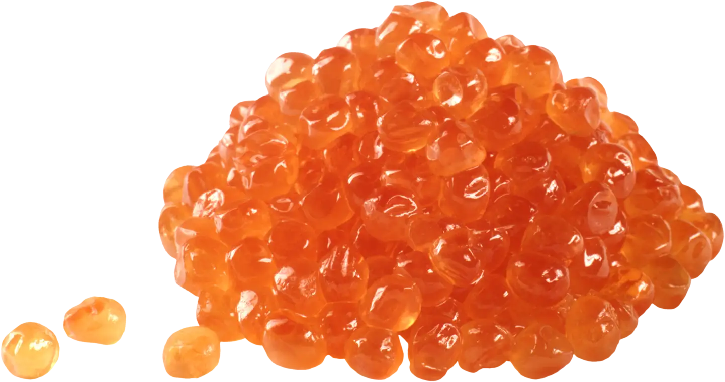 Rainbow trout roe
