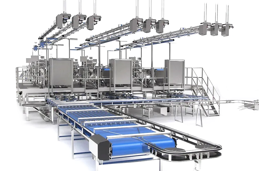 trout fish processing line