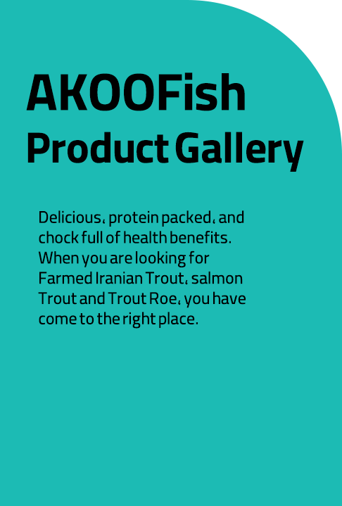 Trout products Gallery | salmon Trout products Gallery | Trout Roe products Gallery
