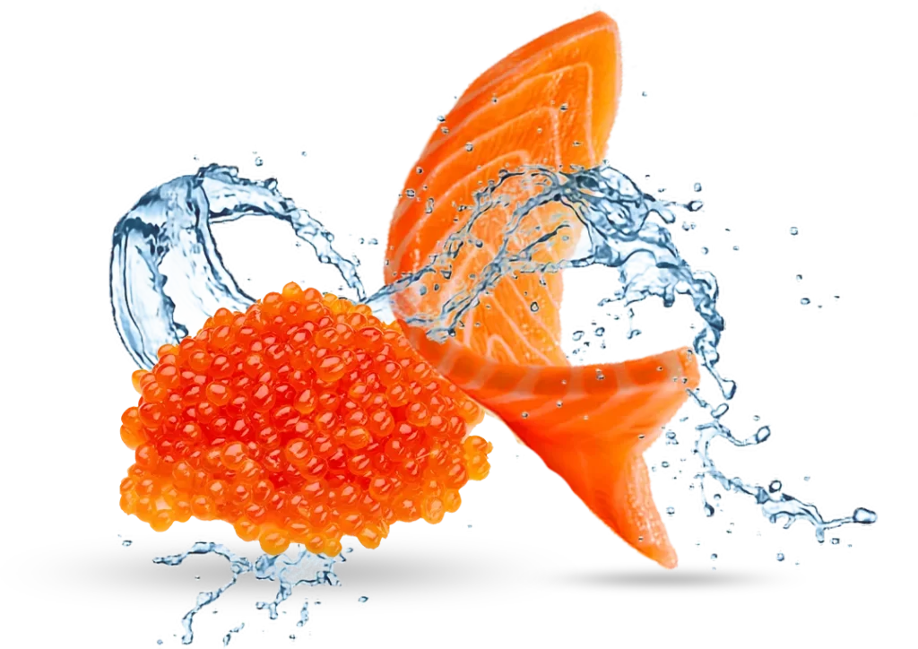 Trout Product | Salmon Trout Product | Trout Roe Product | Product Akoofish
