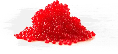 buy Trout Roe Products online